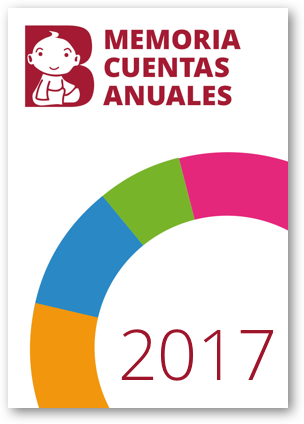 Memoria cuentas anuales 2017