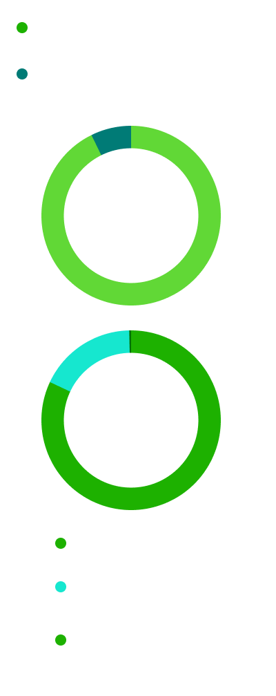 Gráfico de Gastos e Ingresos de la Fundación