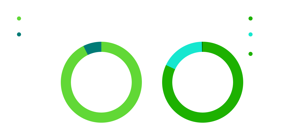 Gráfico de Gastos e Ingresos de la Fundación