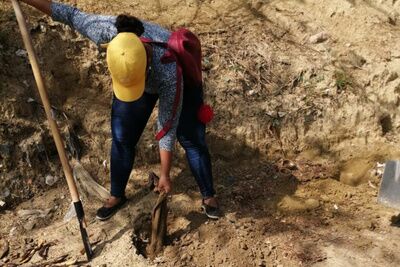 Reforestación en el barrio Santa Lucía que servirá de cortina natural entre el barrio y el vertedero
