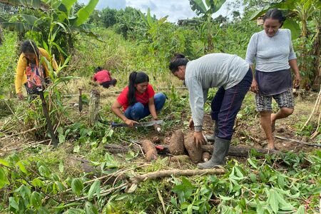 Soberanía alimentaria e igualdad de género en el Amazonas peruano 