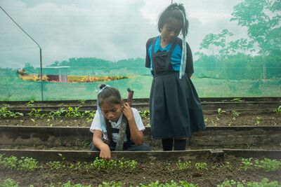 Amazonía peruana: Defendiendo el modelo alimentario de los pueblos indígenas 