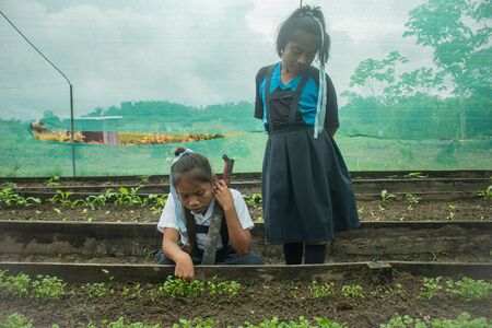 Amazonía peruana: Defendiendo el modelo alimentario de los pueblos indígenas 
