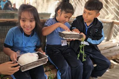 Educación integral para transformar el futuro en Perú