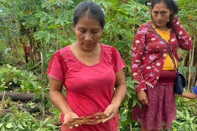 Semillas ancestrales, identidad y autonomía: las voces de las mujeres de Urakuza
