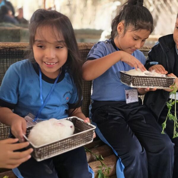 Educación integral para transformar el futuro en Perú