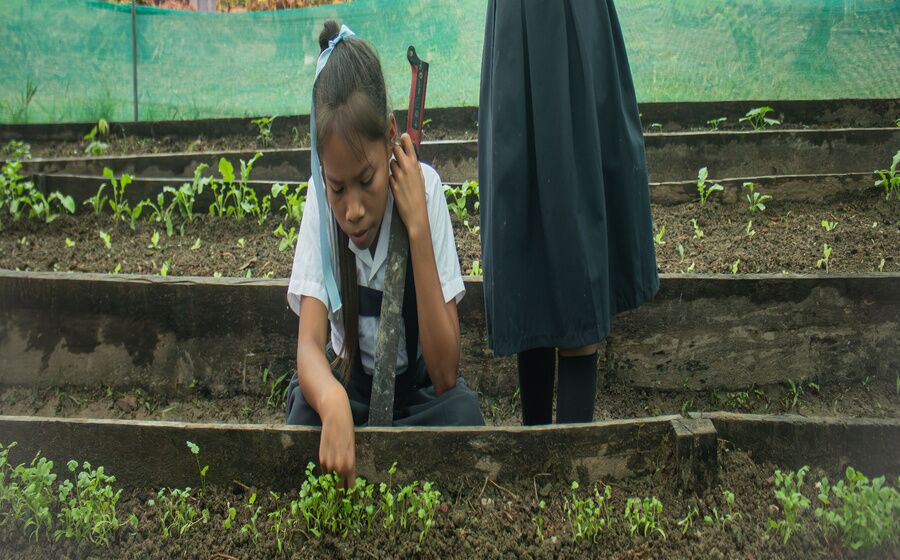 Amazonía peruana: Defendiendo el modelo alimentario de los pueblos indígenas 