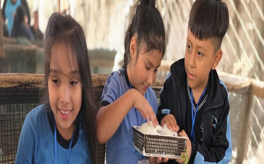 Educación integral para transformar el futuro en Perú